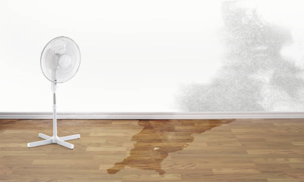Best 24/7 water damage repair  in Arial, SC