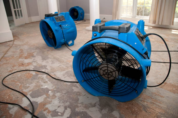 Best Commercial water damage restoration  in Arial, SC