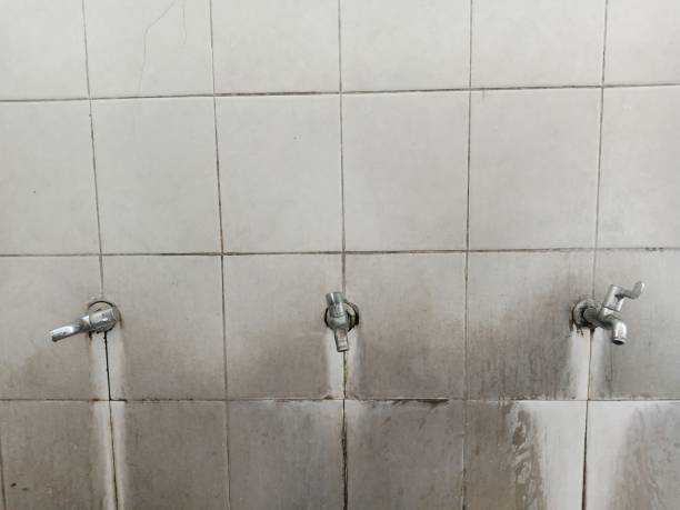 Best Mold removal after water damage  in Arial, SC
